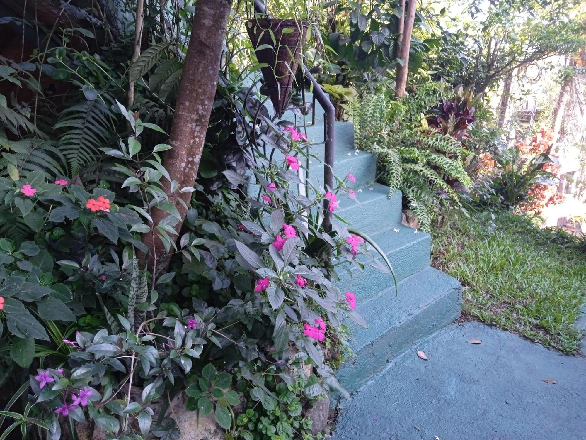 Alex Home Stay Kandy Exterior photo